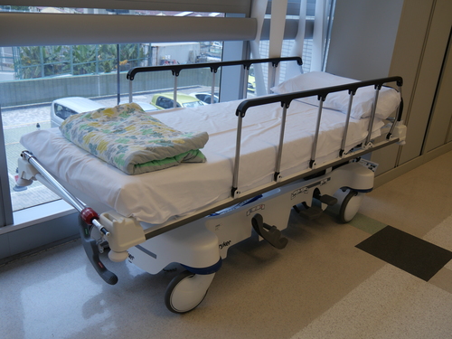 Adjustable Height Hospital Bed