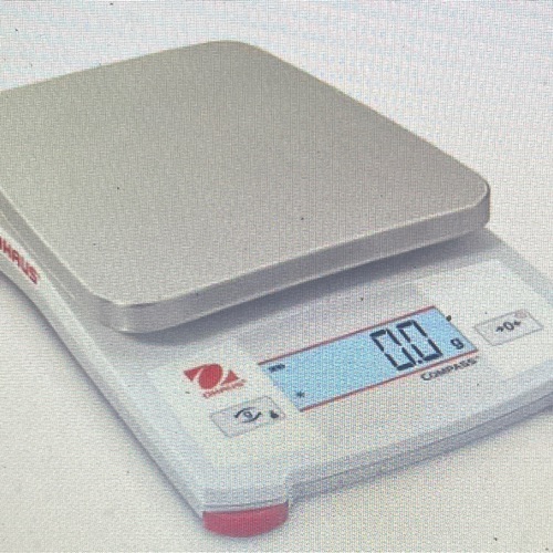 Scale