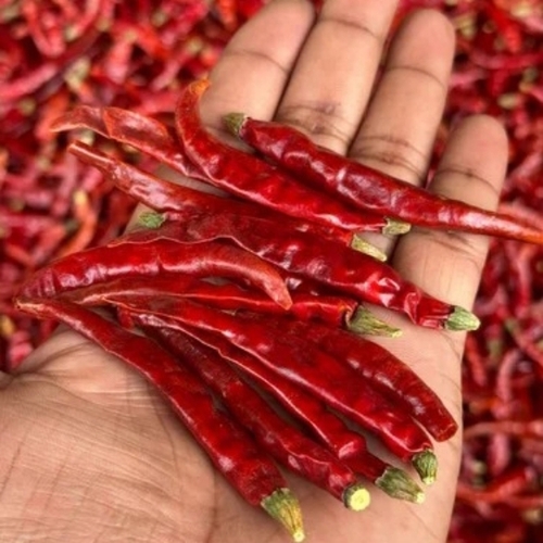 Dried Red Chillis