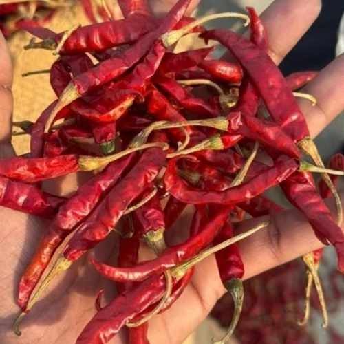 Teja Dried Red Chillis