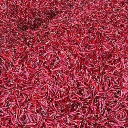 Teja Red Chilli