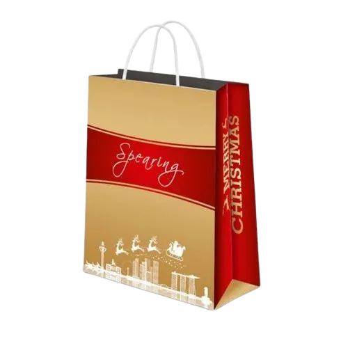 Rectangular Printed Paper Shopping Bag