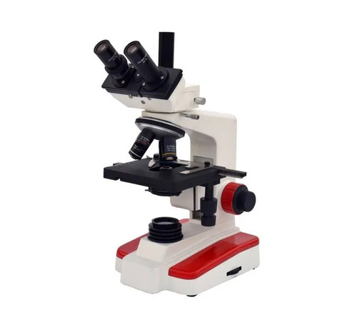 Binocular Stereoscope Microscope