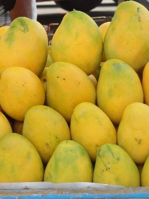 Fresh Mangoes - Cultivation Type: Organic