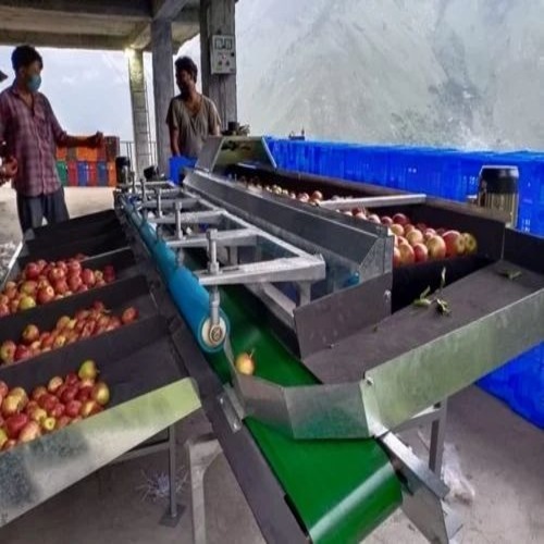 Apple Grading Machine