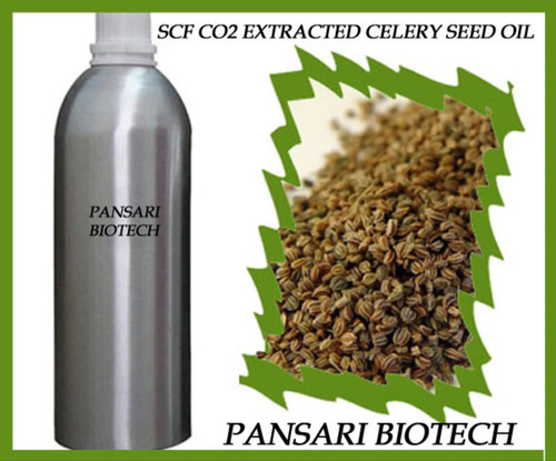 Celery Seed CO2 Oil