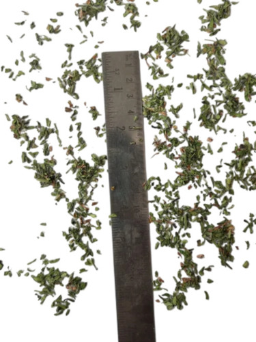 Dried Peppermint Leaves
