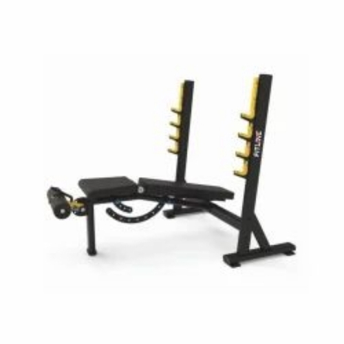 3 In 1 Olympic Bench 