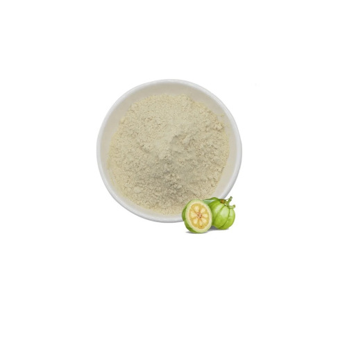 Garcinia Cambogia (Vrikshamla) Powder
