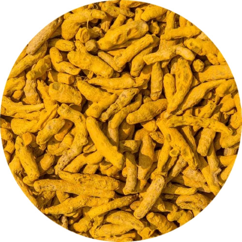 Organic Turmeric Finger