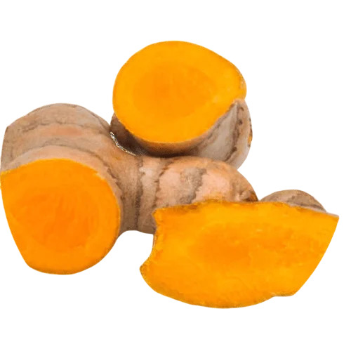 Raw Turmeric Finger