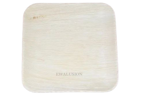 Areca 10 Inch Square Flat Plate