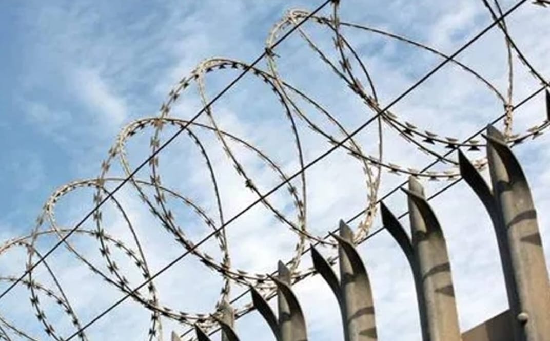 600mm Gi Concertina Wire - Length: 50  Meter (m)