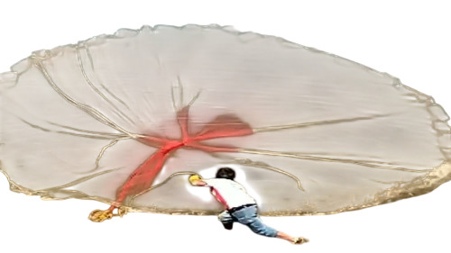 Cast Net