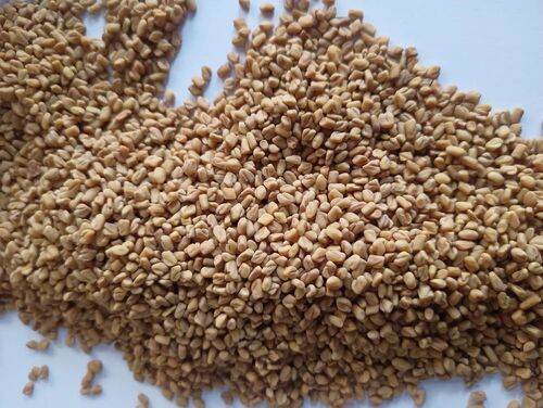 Bold Fenugreek Seeds