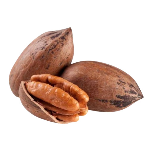 Pecan Nut