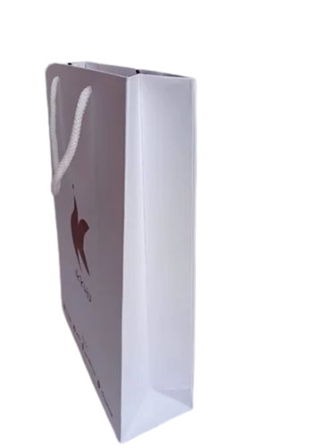 100 Gsm Printed Art Paper Carry Bag
