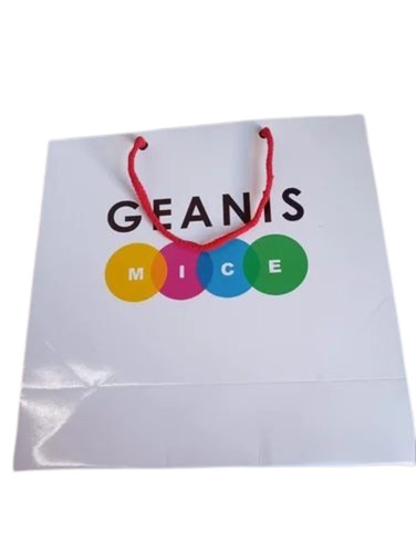 120 Gsm Printed Kraft Paper Carry Bags