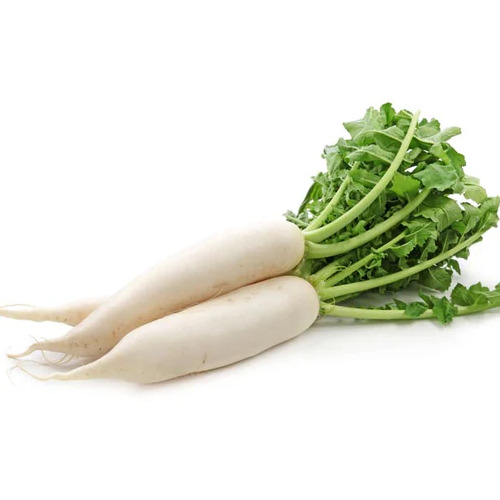 Fresh Radish