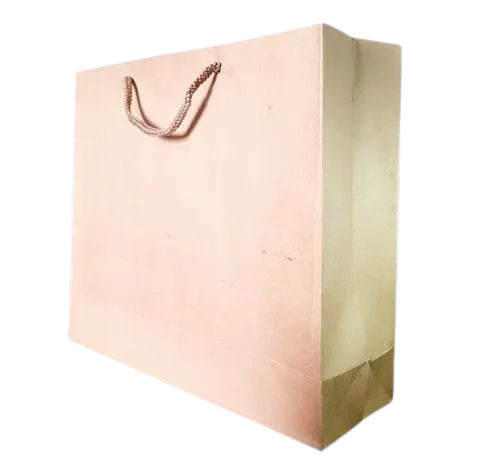 Plain Kraft Paper Bag