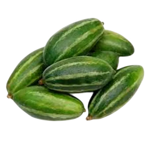 Pointed Gourd