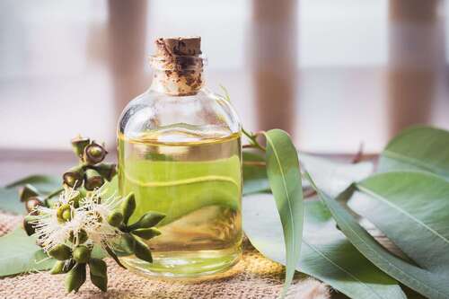 Body Oil - Gender: Female