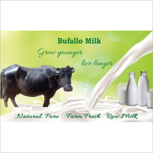 Buffalo Milk - Age Group: Baby
