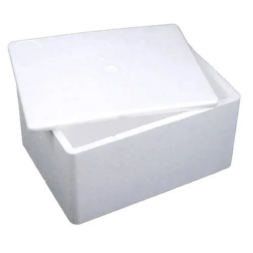 Customized Thermocol Packaging