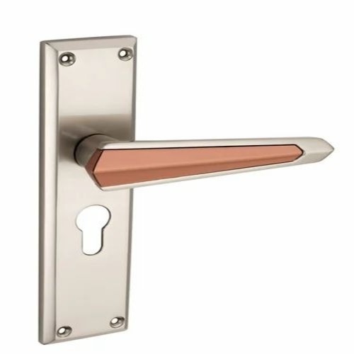 Stainless Steel Fancy Door Handle
