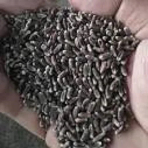 Black Grains - Product Type: Barley