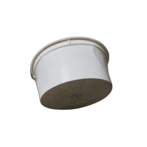White Disposable Plastic Food Container