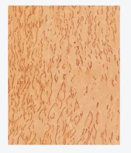 Birch Burls Plywood Sheet