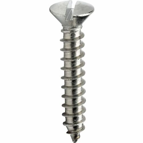 19 Mm Mild Steel Slotted Head Screw