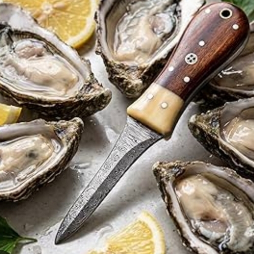 Buy Oyster Shucker Knife