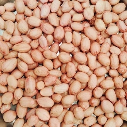 Brown Dried Groundnut seeds