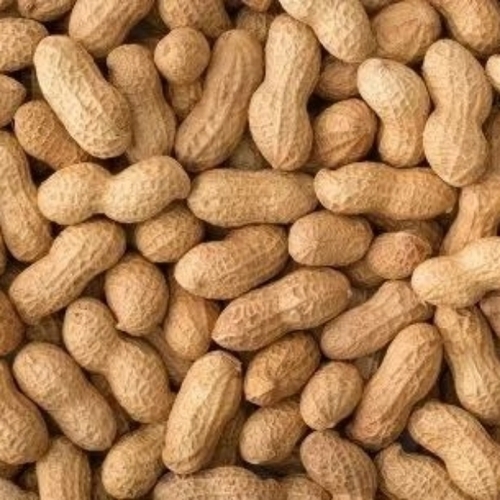Groundnut