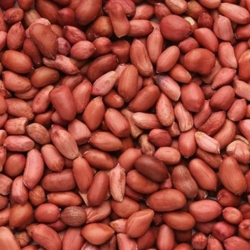 Tg 1 groundnut seeds