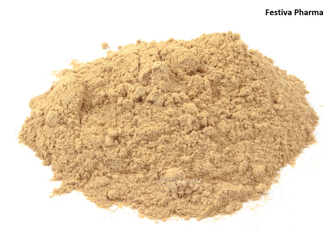 Repaglinide Powder - Color: White