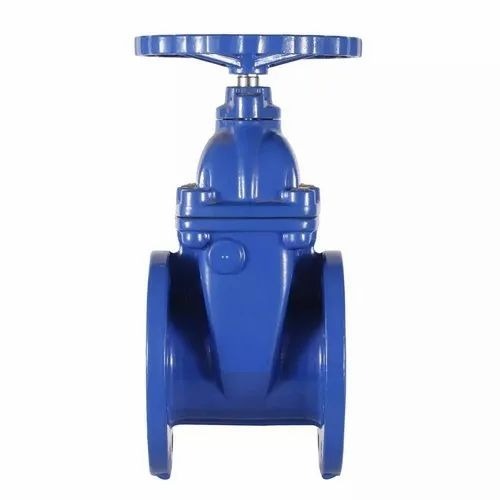01 2.5inch Cast Iron Gate Valve