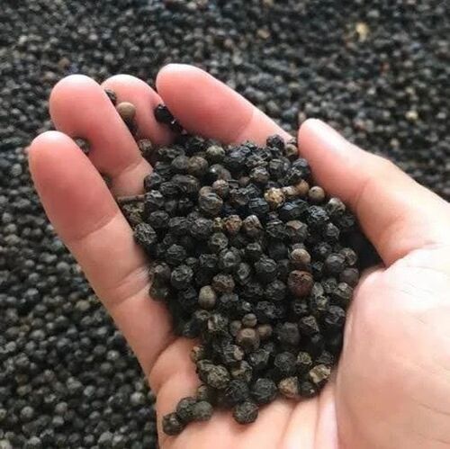 Organic Black Pepper