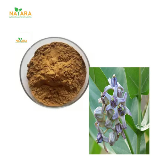 Aak Extract Powder - Herbal Extract Powder, 24 Months Shelf Life | Pure Botanical Ingredient, Used In Ayurvedic Formulations
