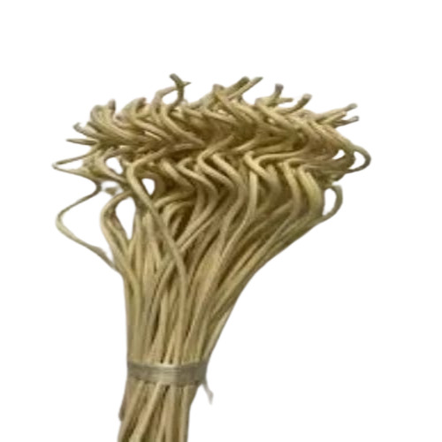 Curly Reed Diffuser Sticks