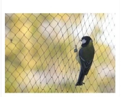 HDPE Bird Protection Netting