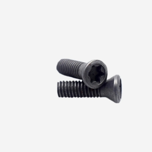 Greay Torx Screw Industrial