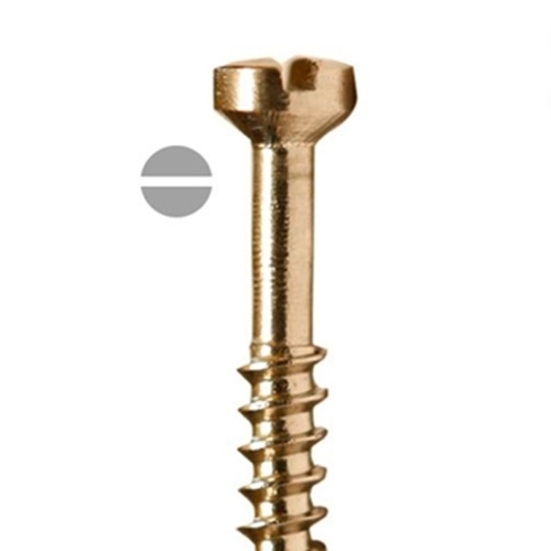 Sk Surgical Golden Screws