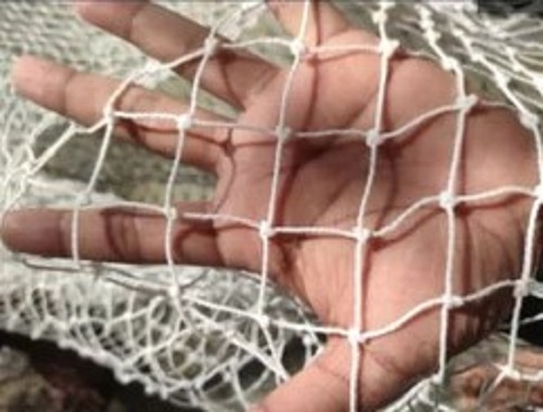 Nylon Bird Netting