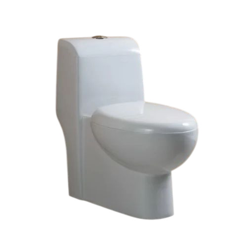 Ceramic Water Closet