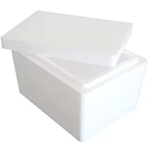 Lightweight Lid Thermocol Ice Box - Coating Type: Na