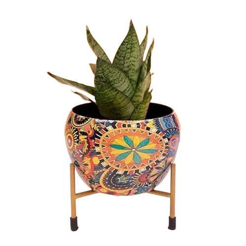 Multicolor Iron Planter