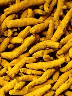 Turmeric Fingers - Color: Natural Yellow
